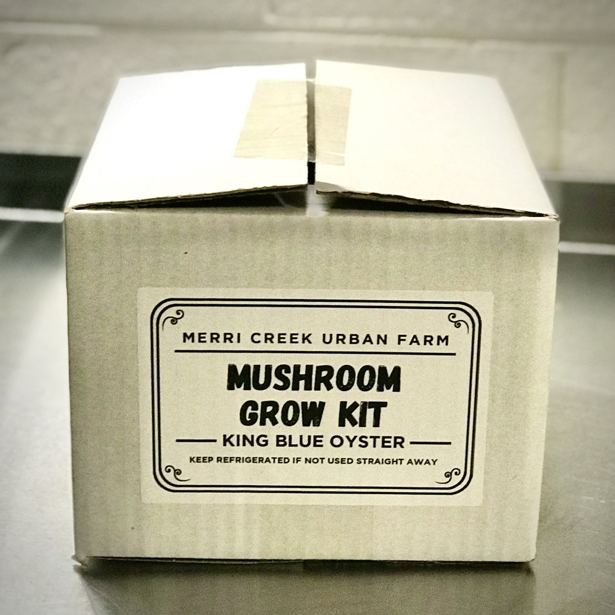 King Blue Oyster Mushroom Grow Kit - made in Melbourne