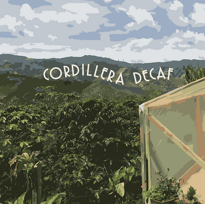 This stunning decaf is sourced from a wide range of smallholder producers in the Planadas and Canon de las Hermosas regions of Colombia.