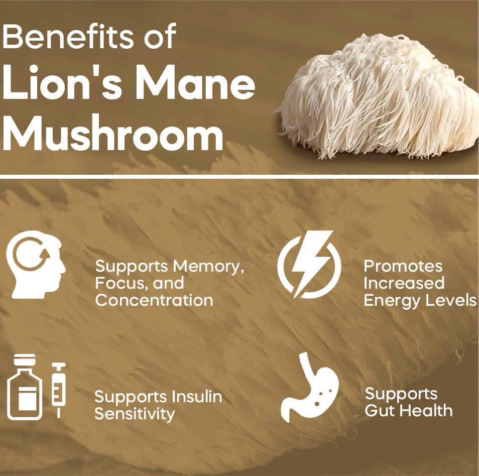 Lions Mane Mushroom Grow Kit - made in Melbourne